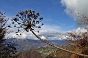 MONTE GIOCO (1366 m) colorato d鈥檃tunno, da Spettino di S. Pellegrino Terme la mattina del 25 ottobre 2020 - FOTOGALLERY